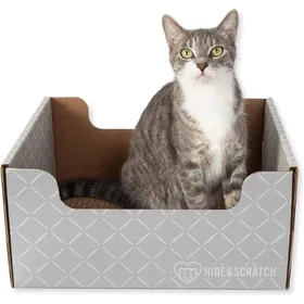 Meilleurs prix pour Griffoir en carton pour chat - LEVYS - Gris clair diamant - 406x33x191 cm - Carton ondulé épais - Double face