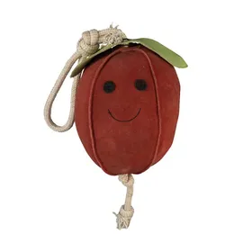 Meilleurs prix pour Jouet de box Pomme - HORKA