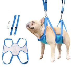 Meilleurs prix pour Hamac de toilettage pour chien et chat, harnais coupe-ongles de toilettage de table, adapté aux chats et aux chiens de petite