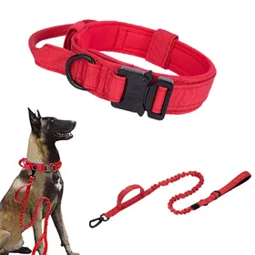 Meilleurs prix pour Ensemble laisse et collier pour chien - Phoesky - Métal tactique durable - Réglable - Pour chiens moyens à grands