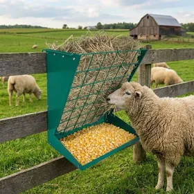Meilleurs prix pour Grand râtelier à foin mangeoire suspendue en acier de 60 chèvres et chevaux pour une utilisation intérieure et extérieure - vert