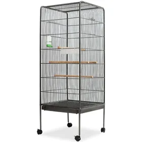 Meilleurs prix pour (Noir)Cage/perchoir à oiseaux - Magnifique Cage à oiseaux Noir 54 x 54 x 146 cm Acier 37713