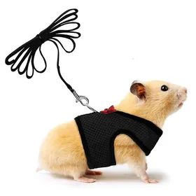 Meilleurs prix pour Harnais doux + laisse pour petits animaux avec clochette et nœud papillon Label