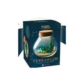 Meilleurs prix pour Kit Fimo Terrarium - FIMO - Carré - LED intégrée - 4 pains FIMO - 300g de sable coloré