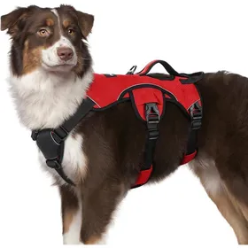 Comparer les prix de rabbitgoo Harnais pour Chien avec Poignée de Levage Harnais Réglables pour Animaux de Compagnie Facile à Contrôler M Rouge