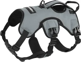 Meilleurs prix pour rabbitgoo Harnais pour Chien avec Poignée de Levage Harnais Réglables pour Animaux de Compagnie Facile à Contrôler M Gris