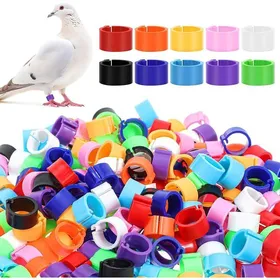 Meilleurs prix pour 100 Bagues didentification 10mm Plastique durable Pour volaille et oiseaux .