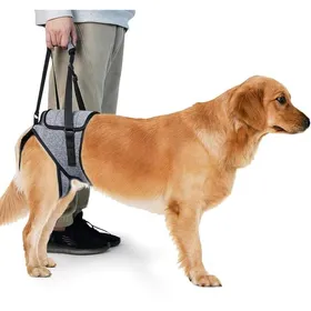 Meilleurs prix pour Harnais de levage taille harnais pour chiens pour pattes arrière ceinture auxiliaire harnais de chien pattes arrière XL