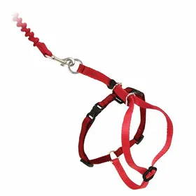 Meilleurs prix pour Harnais animal Petsafe - 066961 - Harnais et Laisse elastique Come with Me Kitty