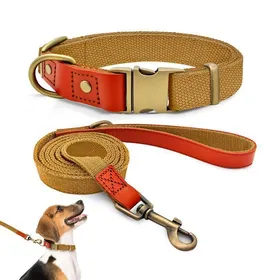 Meilleurs prix pour Collier et laisse pour chien qianruida nylon kaki M anti-usure