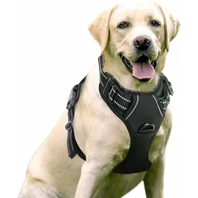 Comparer les prix de Harnais pour chien Rabbitgoo, harnais de poitrine réfléchissant et respirant anti-traction, réglable et doux pour chiens et chiots
