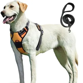 Meilleurs prix pour Harnais Chien M Harnais Anti Traction pour Chien Facile à Mettre avec Poignée Contrôle Livré avec une corde de 15Orange