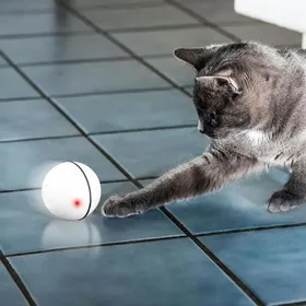 Comparer les prix de Jouet interactif intelligent pour chat - Balle rotative automatique 360 degrs Jouet rechargeable par USB pour animaux de
