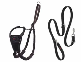 Comparer les prix de Harnais animal Halti - 14329W