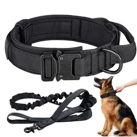 Meilleurs prix pour Ensemble collier et laisse pour chien XL nylon tactique réglable entraînement extérieur grand chien berger allemand Noir