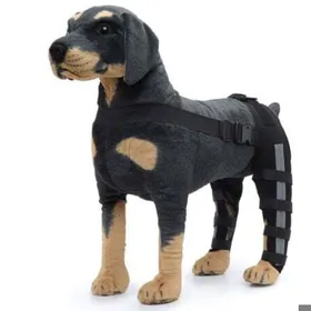 Meilleurs prix pour (taille S)Genouillère de chien de protection de jambe arrière double pour larthrite de luxation de la rotule maintient