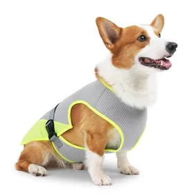 Meilleurs prix pour Gilet rafraîchissant pour chien, gilet rafraîchissant pour animaux de compagnie, vêtements pour chien XL