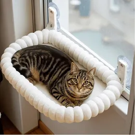 Meilleurs prix pour Hamac Chat Fenetre avec 4 Ventouses Perchoir Chat Fenetre Lit Peluche Pliable et RéversibleM(52x30cm) Blanc