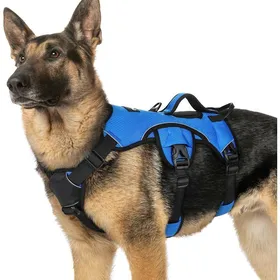Meilleurs prix pour rabbitgoo Harnais pour Chien avec Poignée de Levage Harnais Réglables pour Animaux de Compagnie Facile à Contrôler XL Bleu