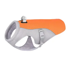Comparer les prix de Gilet rafrachissant pour animaux de compagnie gilet rflchissant pour chien veste rafrachissante pour lt Label
