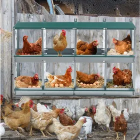 Comparer les prix de Niche à poules 8 compartiments en métal galvanisé montage mural vert 108 × 41 × 67 cm - UVRION