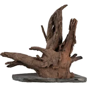 Meilleurs prix pour Décoration aquarium - SERA - Scaper Wood - Taille L - Racine naturelle - 30-35 cm