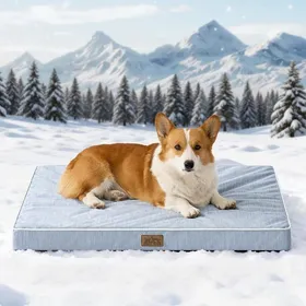 Comparer les prix de Panier Coussin Rafraîchissant pour Grands ChiensQ-Max>04 Lavable Tapis ChienOrthopédique LitAtmungsaktiv91X69x7.5cmBleu Clair