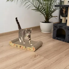 Comparer les prix de GRIFFON POUR CHAT CARTON LIT EN CARTON VAGUE CARTON + HERBE À CHAT