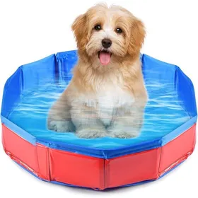 Meilleurs prix pour Piscine Pliable pour ChienBaignoire en PVC AntidérapantPiscine pour Chiens et ChatsPortable et Respectueuse de pour