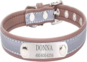 Meilleurs prix pour Collier pour Chien avec nom Colliers pour Chien en Cuir Collier pour Chien réfléchissant Personnalisable avec nom et numéro de