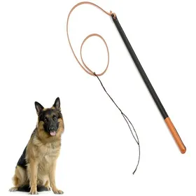 Meilleurs prix pour Fouet de dressage pour chien en similicuir outil professionnel avec poignée fournitures pour animaux de compagnie Label