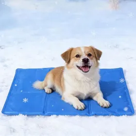 Comparer les prix de Tapis Rafraîchissant Chien 65x50 cm – Tapis Refroidissant pour Chien Taille MoyenneAuto-Rafraîchissant sans EauÉtanche
