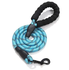 Meilleurs prix pour laisse de remorquage pour chiens, 3 m Laisse robuste pour chien, laisse d'entraînement