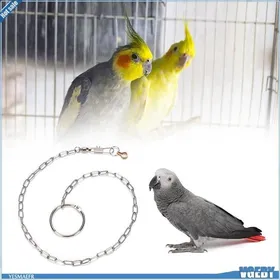 Comparer les prix de VGEBY Bracelet de cheville Oiseaux VGEBY Chaîne de pied doiseaux Harnais de Formation de Chaîne animalerie jouet perroquet gris
