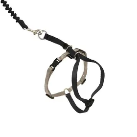Comparer les prix de Harnais animal Petsafe - 066953 - Harnais et Laisse elastique Come with Me Kitty