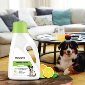 Meilleurs prix pour Bissell Détergent Wash & Refresh Pet