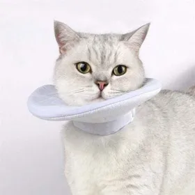 Meilleurs prix pour Collerette de protection pour chat
