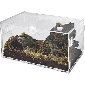 Meilleurs prix pour Terrarium à Escargots Récipient en Acrylique Insecte Terrarium Transparent pour Lézards Terrarium pour 40×25×20cm VIVARIUM