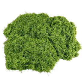 Meilleurs prix pour Mousse Végétale Mousse Décorative Terrarium Adapté aux Compositions Florales Plantes art 100g 30*60CM*2