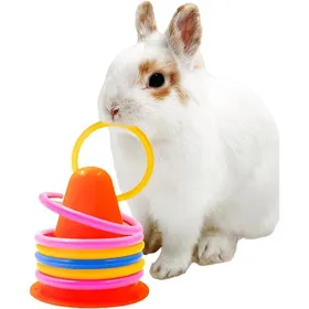 Meilleurs prix pour Jouets pour Lapin - Jouets déducation interactifsAnneaux ludiques pour Lapins et Jeux Amusants - pour Petits Animaux Oiseau