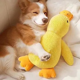 Comparer les prix de Jouet en peluche chien canard couineur jouet doux toutes tailles 35 cm