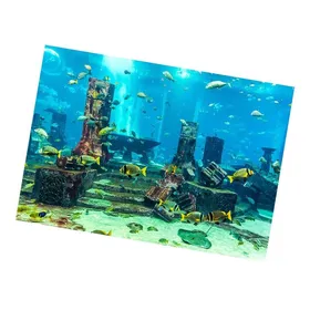 Comparer les prix de SURENHAP Fond daquarium sous leau Fond daquarium corallium sous-marin affiche de pêche de pêche animalerie vegetale 61 * 30cm