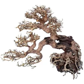 Comparer les prix de Décor Aquarium - AMTRA - Oriental Wind 7 - Bois Fait Main - 30x13x23 cm - Naturel Marron