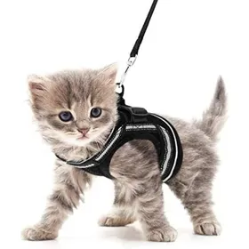 Comparer les prix de Harnais pour petit chien et chat feuilles de maison harnais pour chaton rglable VHV