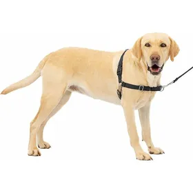 Meilleurs prix pour Harnais Easy Walk avec Boucle Anti-Traction Et Laisse 18 M Promena Confortable pour Vous Et Lui - 4 Grand - L#Noir HARNAIS ANIMAL