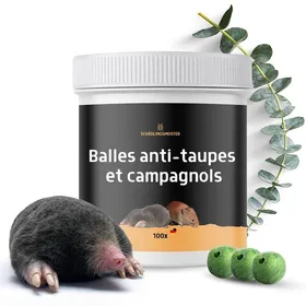 Meilleurs prix pour Répulsif Anti-Taupes Et Campagnols – 100 Boules – Parfum Citron Eucalyptus – Biodégradable – Efficace Contre Les Taupes Et Le[J128]