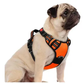 Meilleurs prix pour rabbitgoo Harnais Chien Anti Traction avec 3 boucles pour Chien Facile à Mettre Harnais Réfléchissant Réglable pour Chien orange S