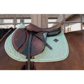 Meilleurs prix pour Tapis Velvet Menthe MIXTE - Kentucky
