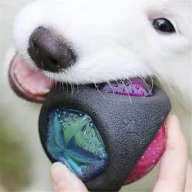 Comparer les prix de ARAMOX balle résistante aux morsures de chiot Balle en caoutchouc pour chien balle résistante animalerie soin Couleur assortie