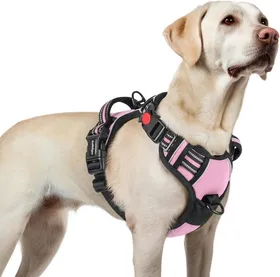 Meilleurs prix pour rabbitgoo Harnais Chien Anti Traction avec 3 boucles pour Chien Facile à Mettre Harnais Réfléchissant Réglable pour Chien Rose L